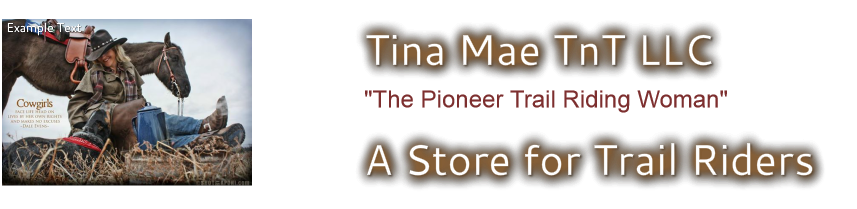 Tina Mae TnT LLC
